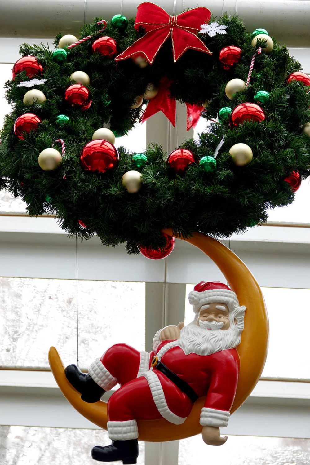 クリスマスが今年もやってくる ブログdeズーラシア よこはま動物園ズーラシア公式サイト 公益財団法人 横浜市緑の協会 クリスマスが今年もやってくる ブログdeズーラシア よこはま動物園ズーラシア公式サイト 公益財団法人 横浜市緑の協会