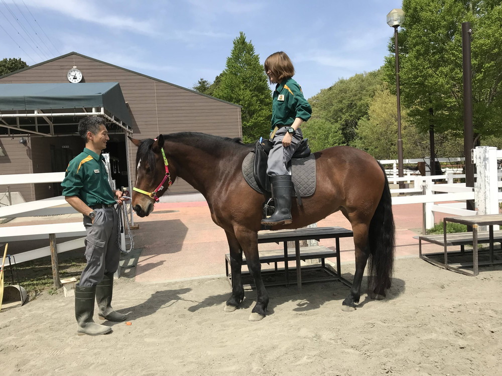 ぱかぱかブログ2018騎乗トレ 負荷4.jpg