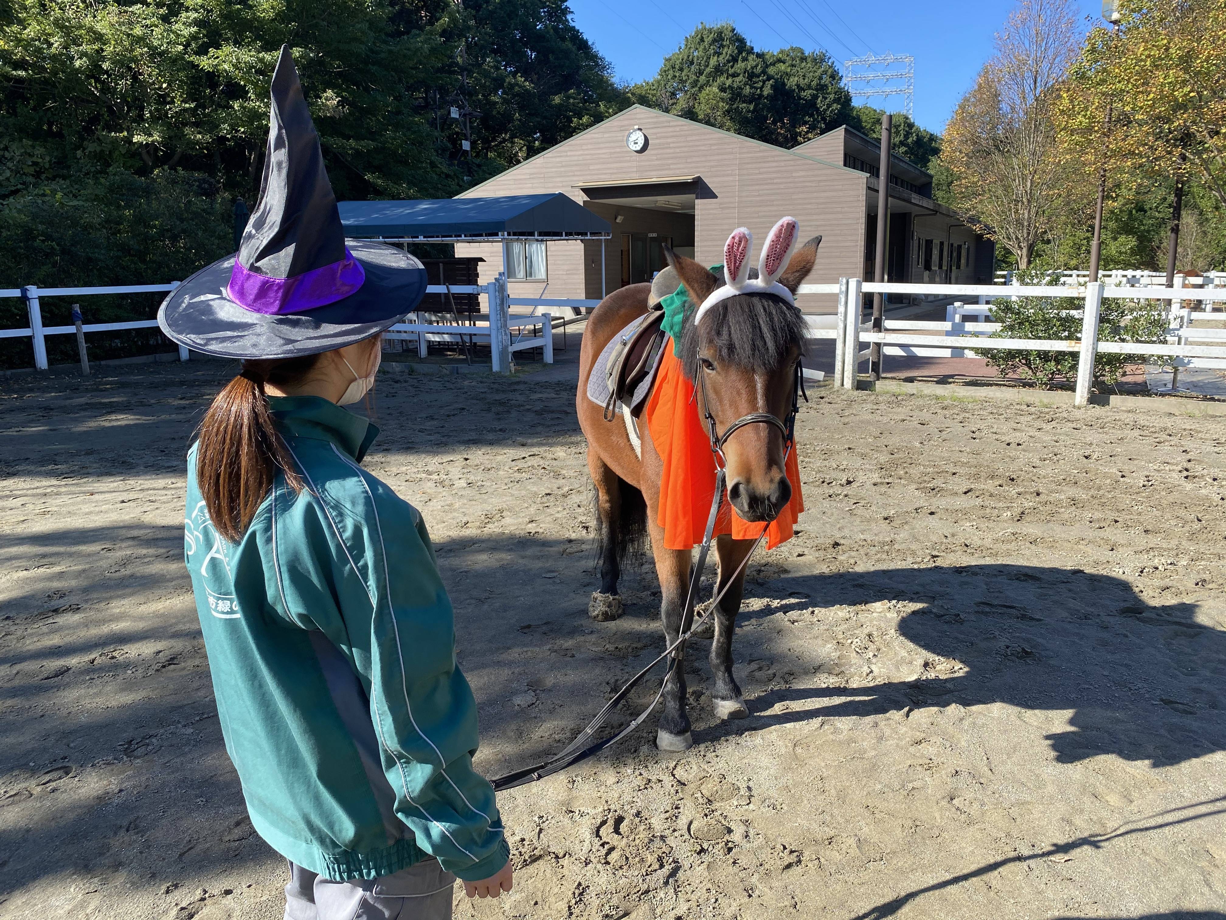 トリック オア トリート ぱかぱか広場 よこはま動物園ズーラシア公式サイト 公益財団法人 横浜市緑の協会 トリック オア トリート ぱかぱか広場 よこはま動物園ズーラシア公式サイト 公益財団法人 横浜市緑の協会