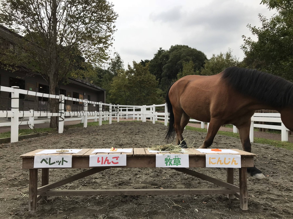 【ぱかぱか】馬ってにんじんが6.jpg