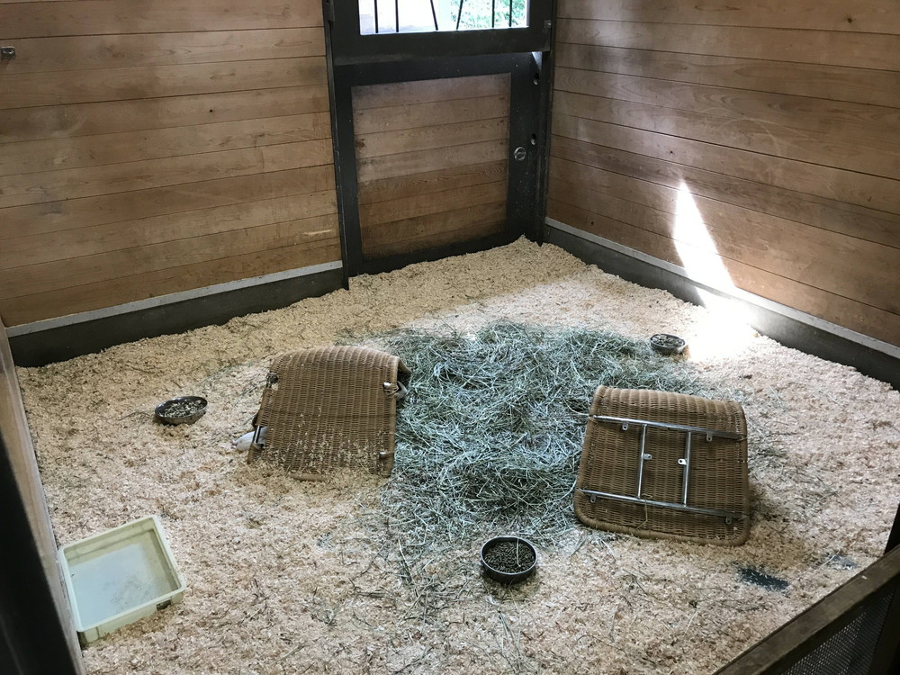 ぱかぱか お昼寝1.jpg