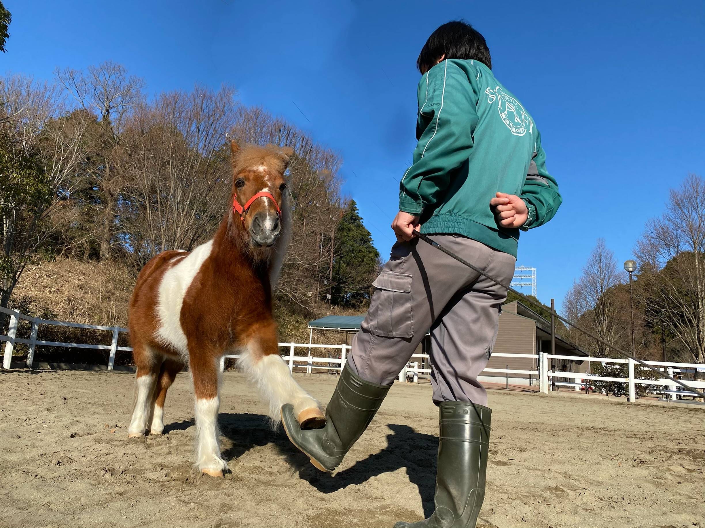 ぱか とっておき3.jpg