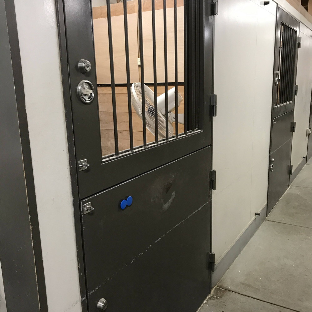 ぱかぱか お昼寝7.jpg