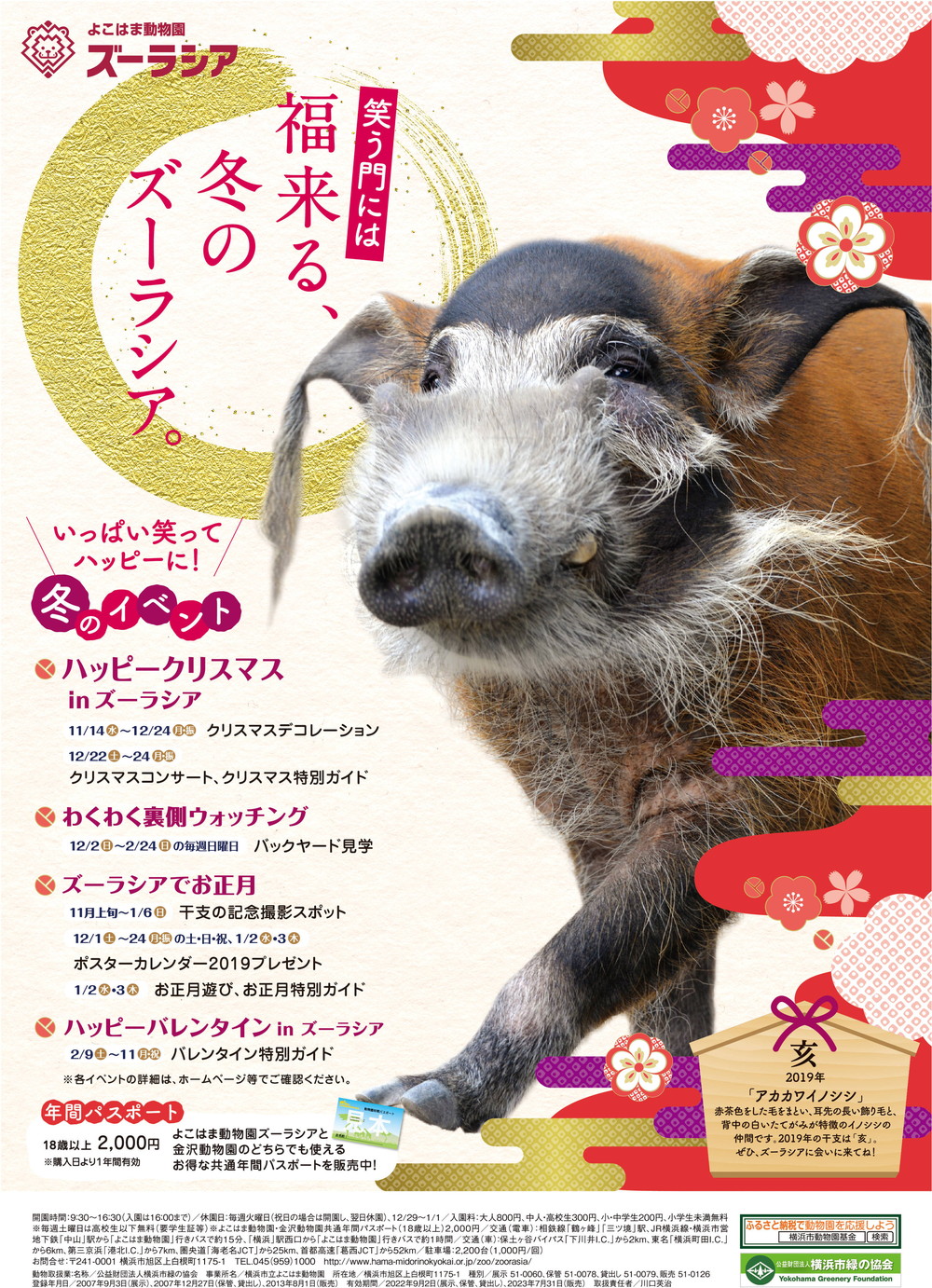 世界のイノシシ年 ブログdeズーラシア よこはま動物園ズーラシア公式サイト 公益財団法人 横浜市緑の協会