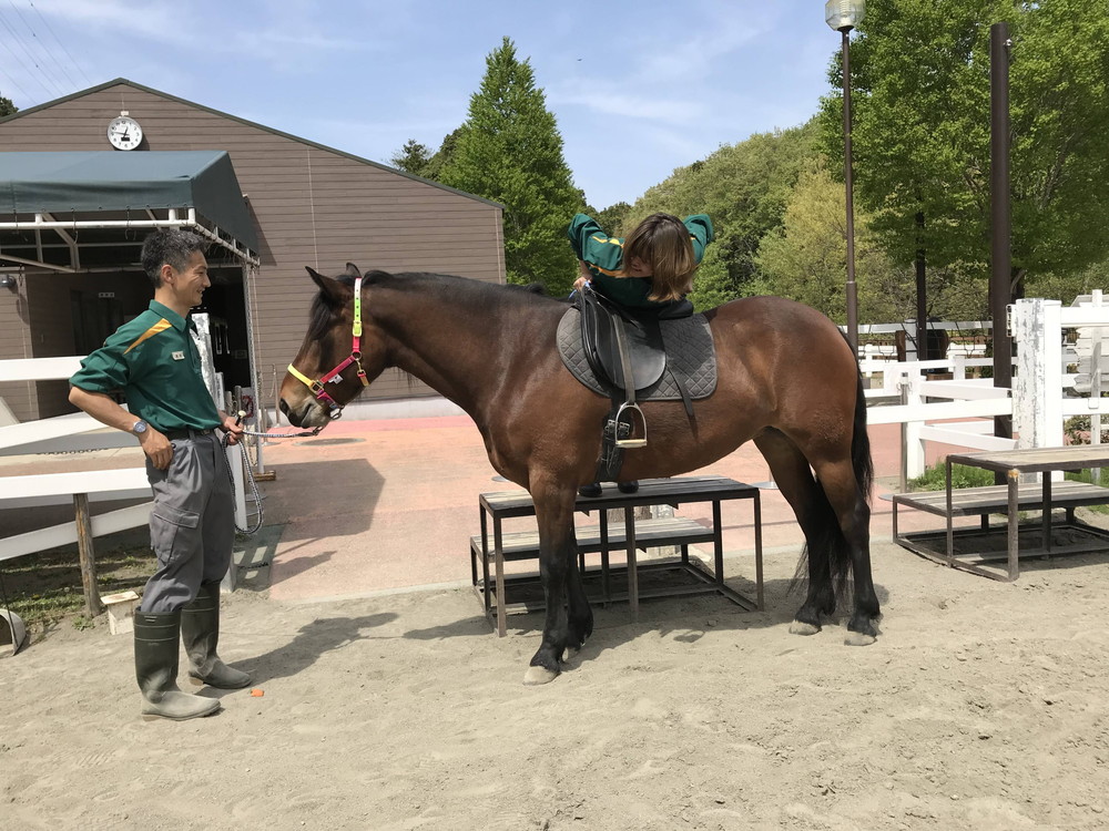 ぱかぱかブログ2018騎乗トレ 負荷3.jpg