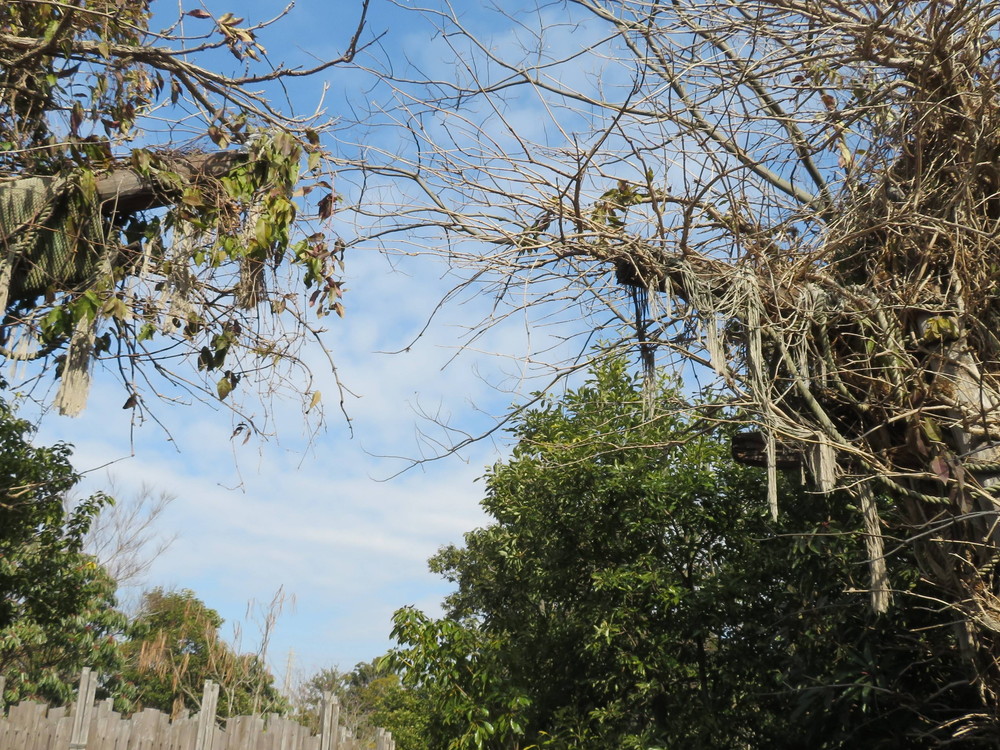 IMG_1543 - コピー.jpg