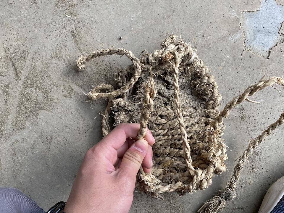 ぱかぱか わらじ13.jpg