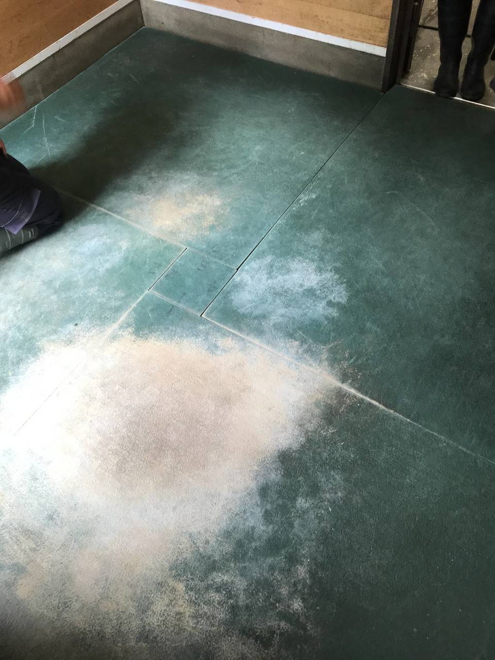 ぱかぱか広場　雨14