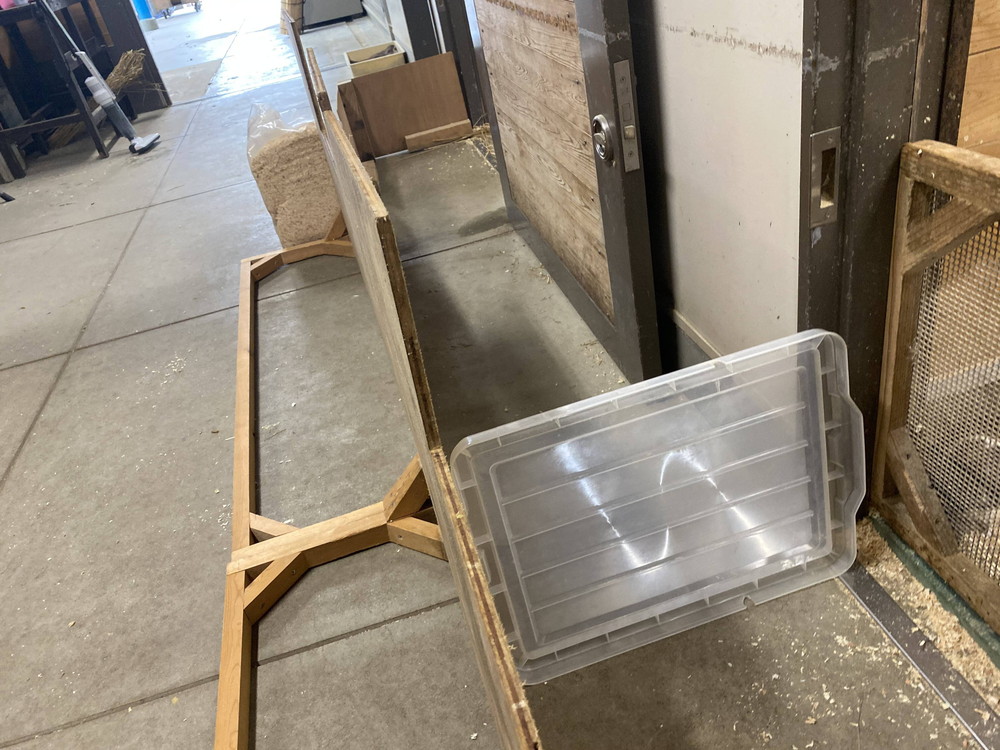 ぱかぱか モルモットレース2.jpg