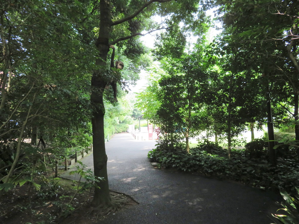 IMG_6097 - コピー.jpg