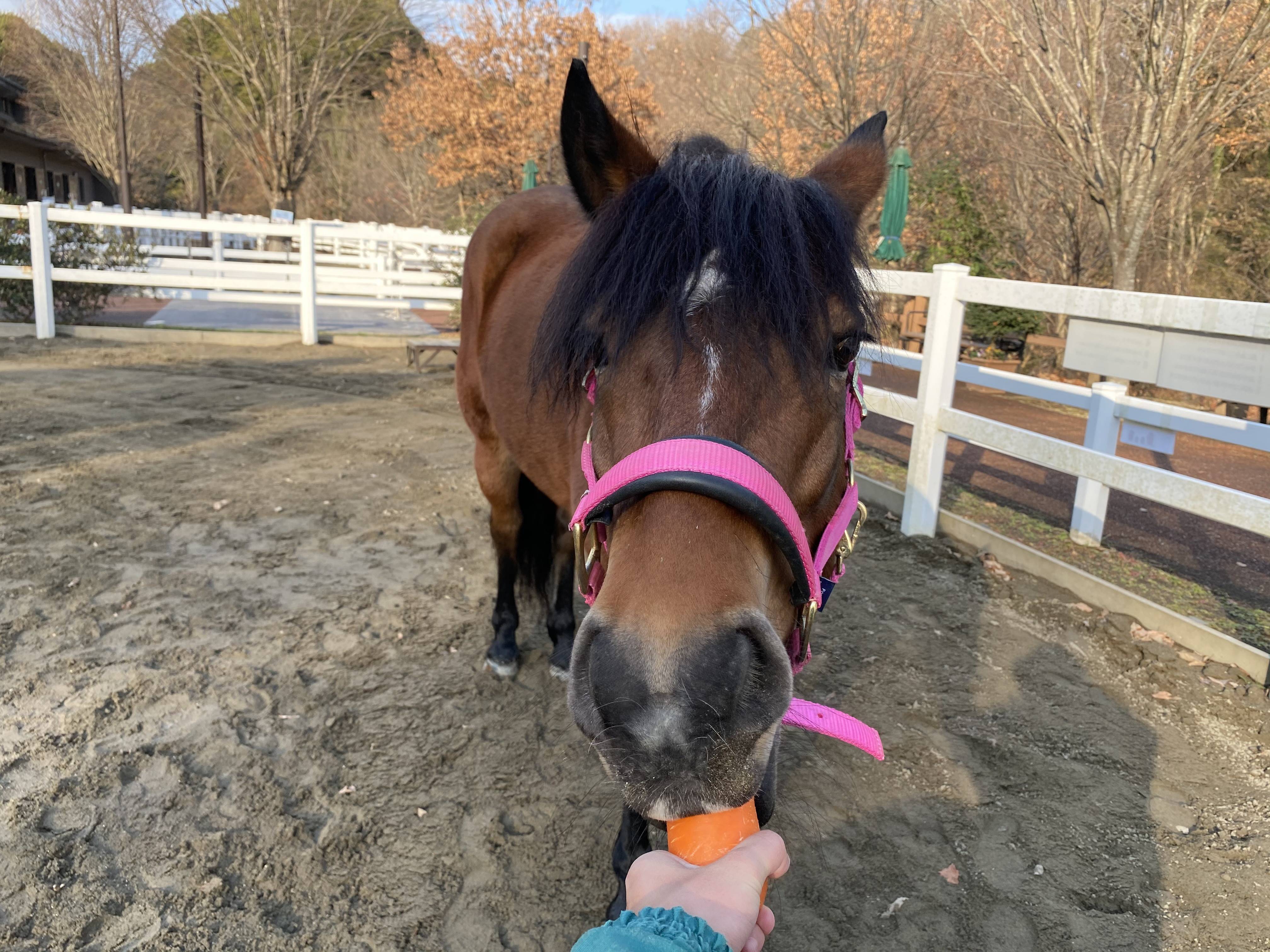 ぱかブログ キーパー4.jpg