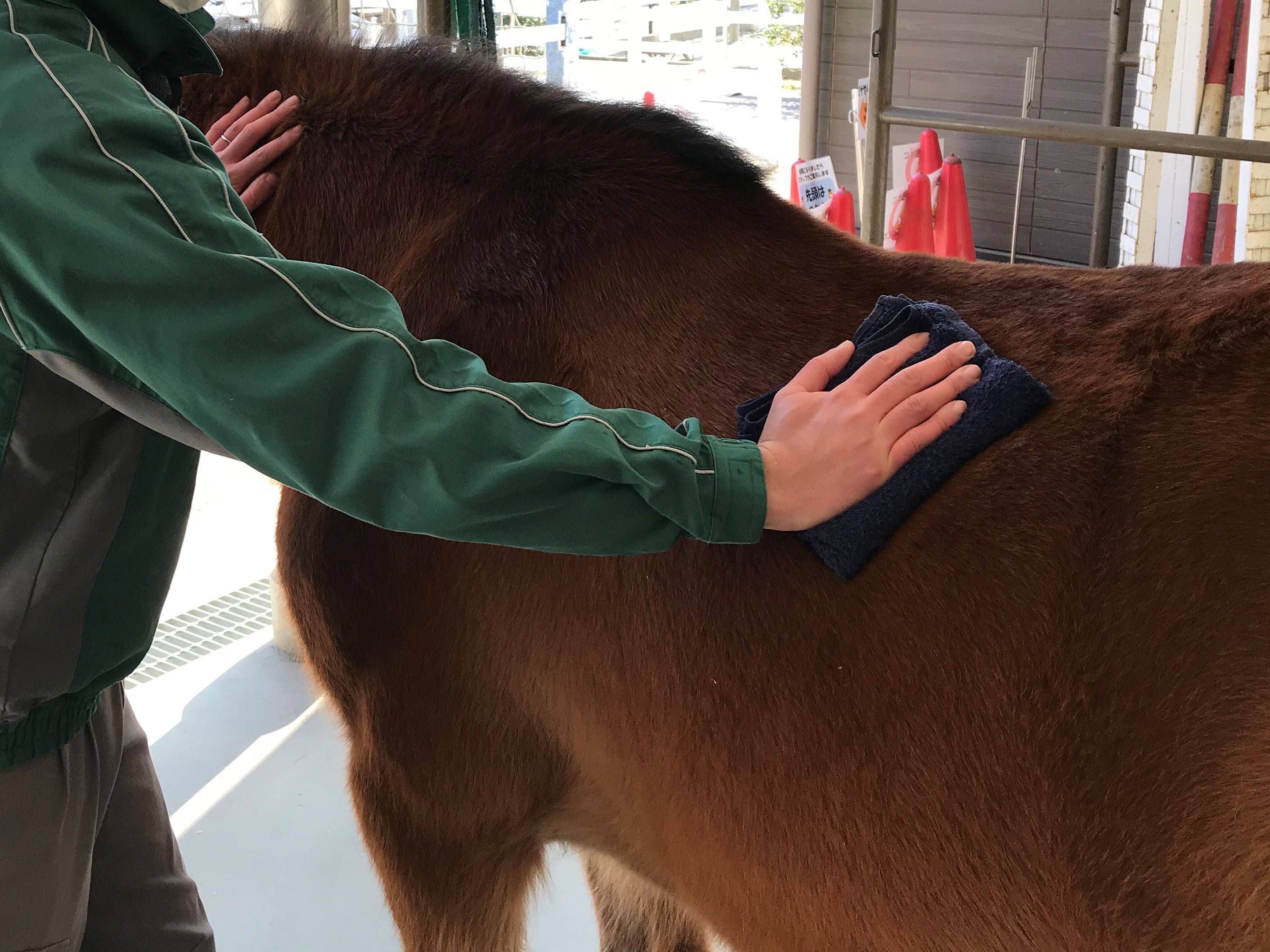 【ぱかぱか】見えざる敵 2－1.jpg