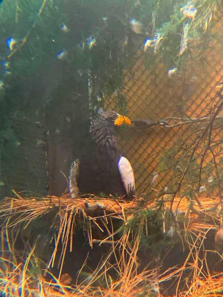 95473f92b2d522484aedd8de3307ce6e880898d1 (1).jpg