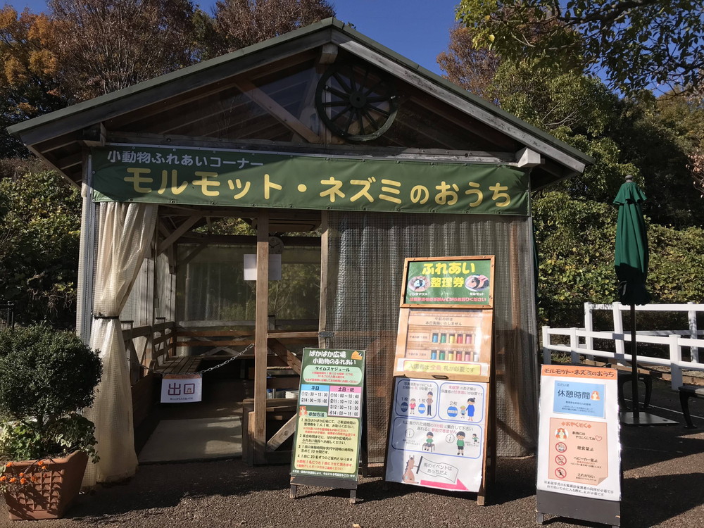 ぱかぱか広場ネズミ柄①.jpg