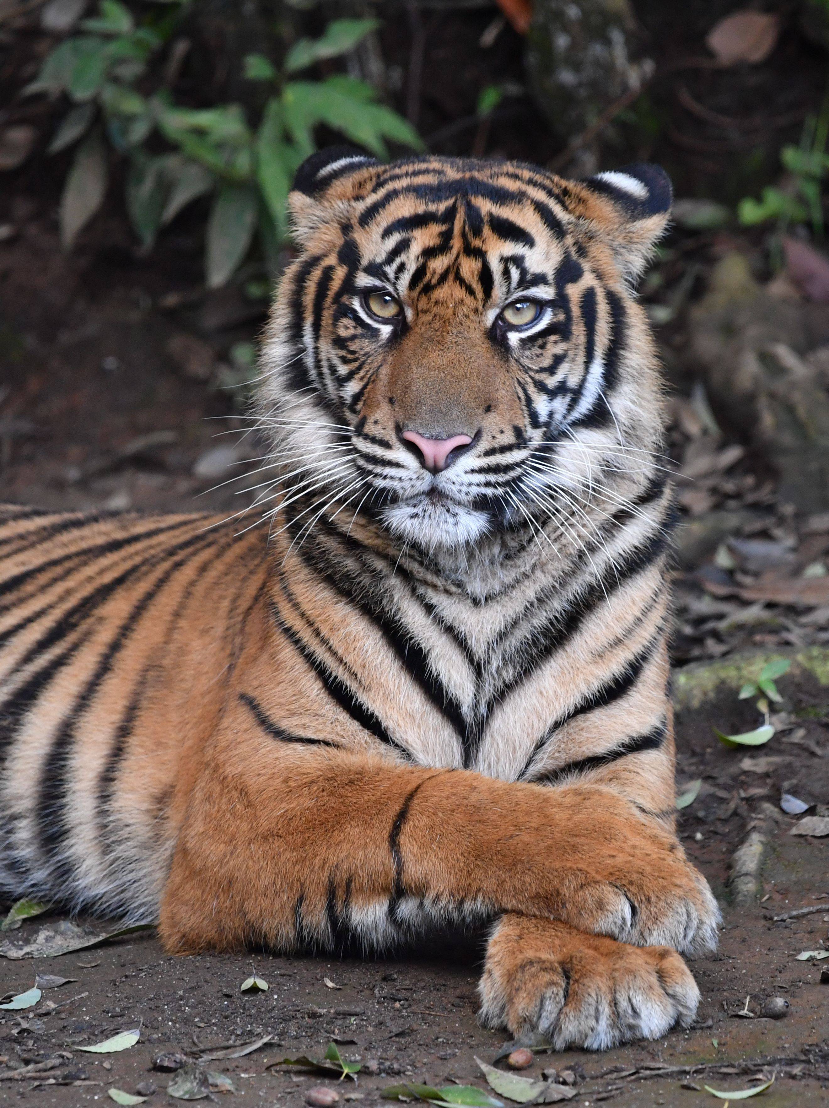 ムジュ 差し替え用 .jpg