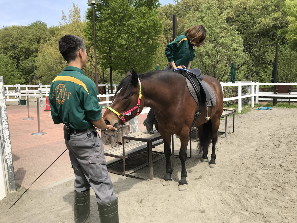 ぱかぱかブログ2018騎乗トレ 負荷2.jpg