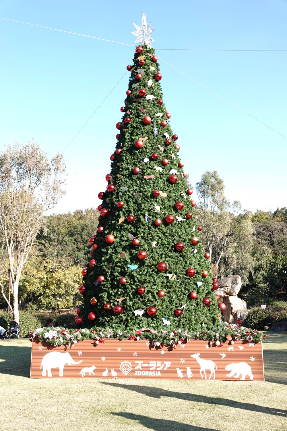 クリスマスが今年もやってくる ブログdeズーラシア よこはま動物園ズーラシア公式サイト 公益財団法人 横浜市緑の協会
