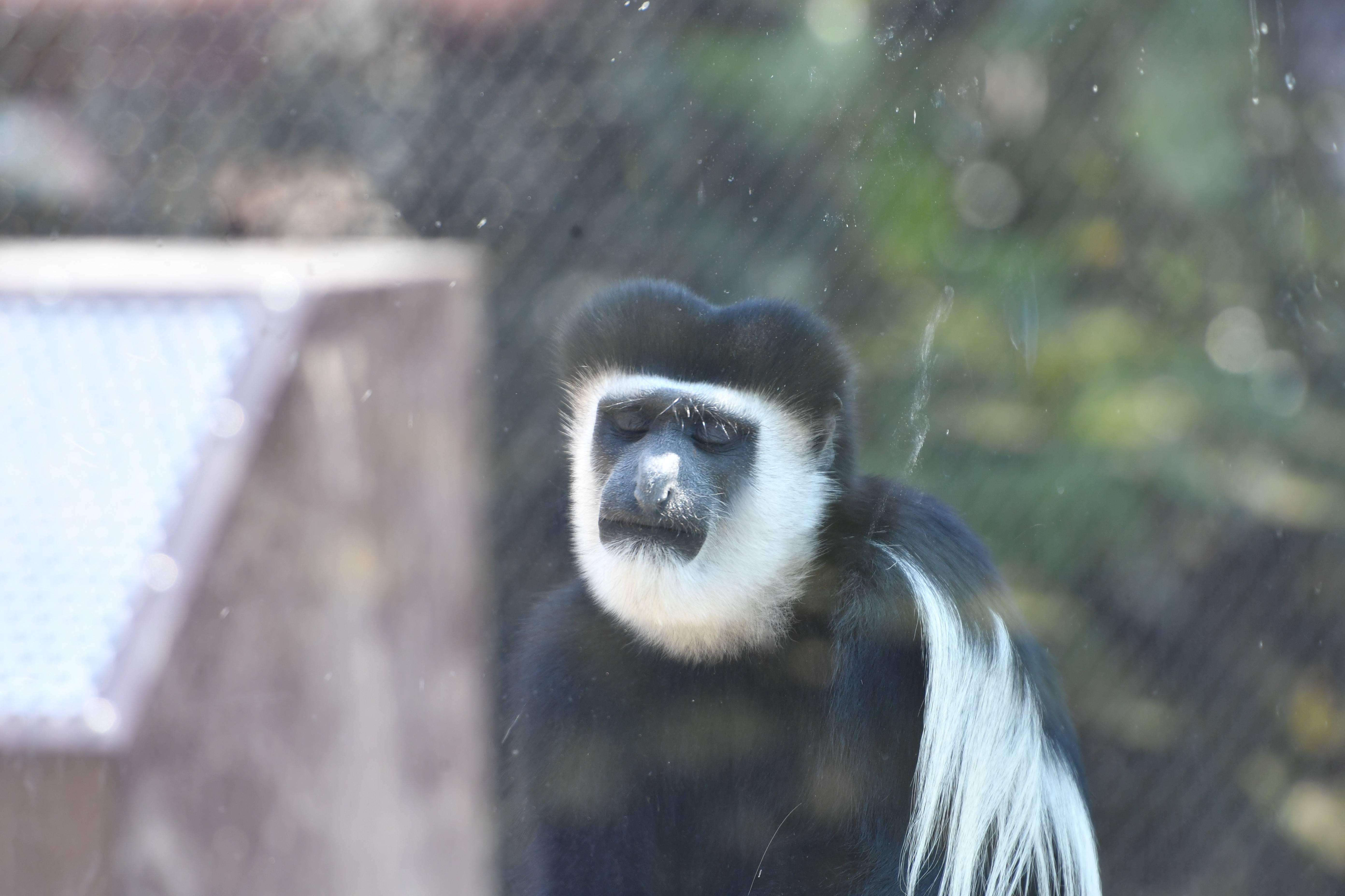 DSC_7624.jpg