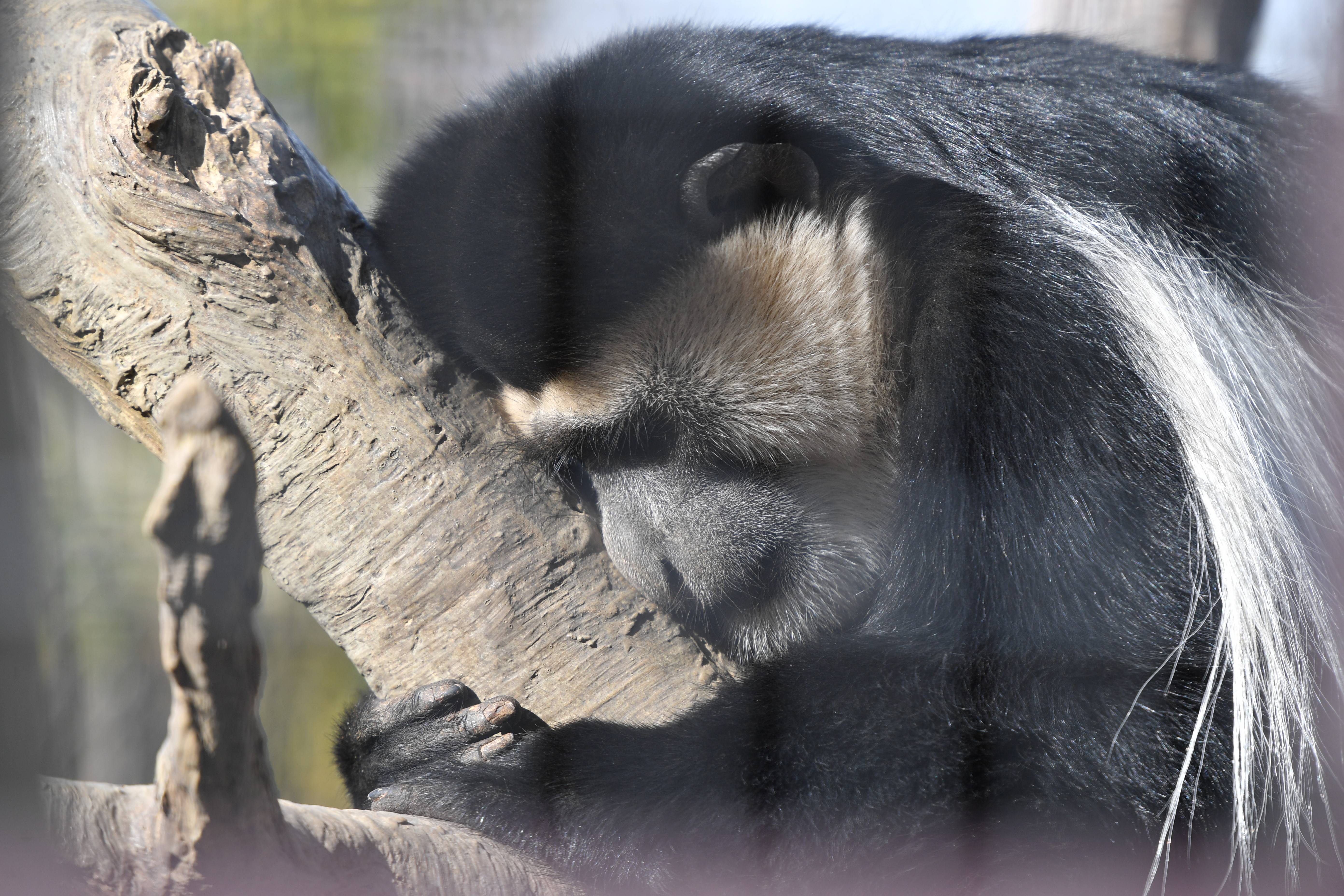 DSC_8011.jpg