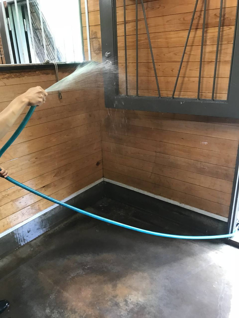 ぱかぱか広場 雨9