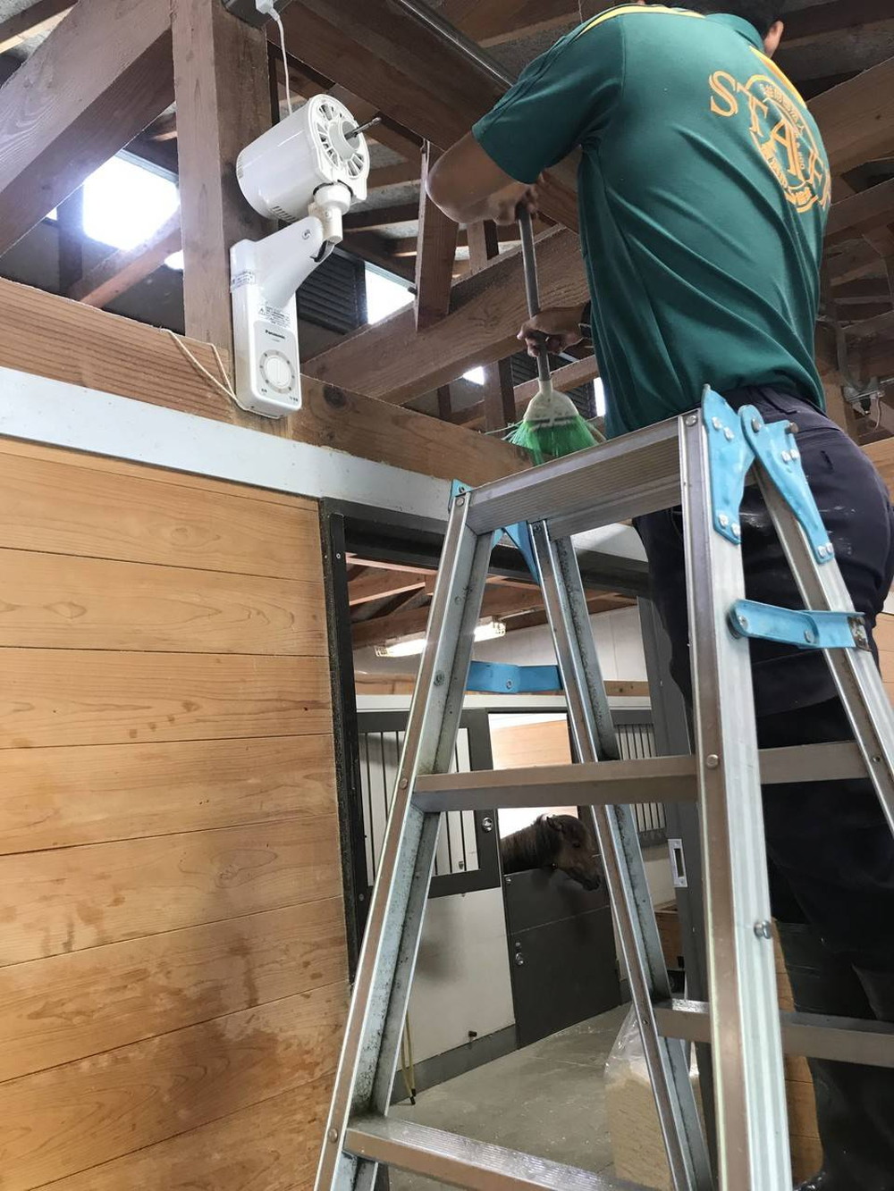 ぱかぱか広場　雨15