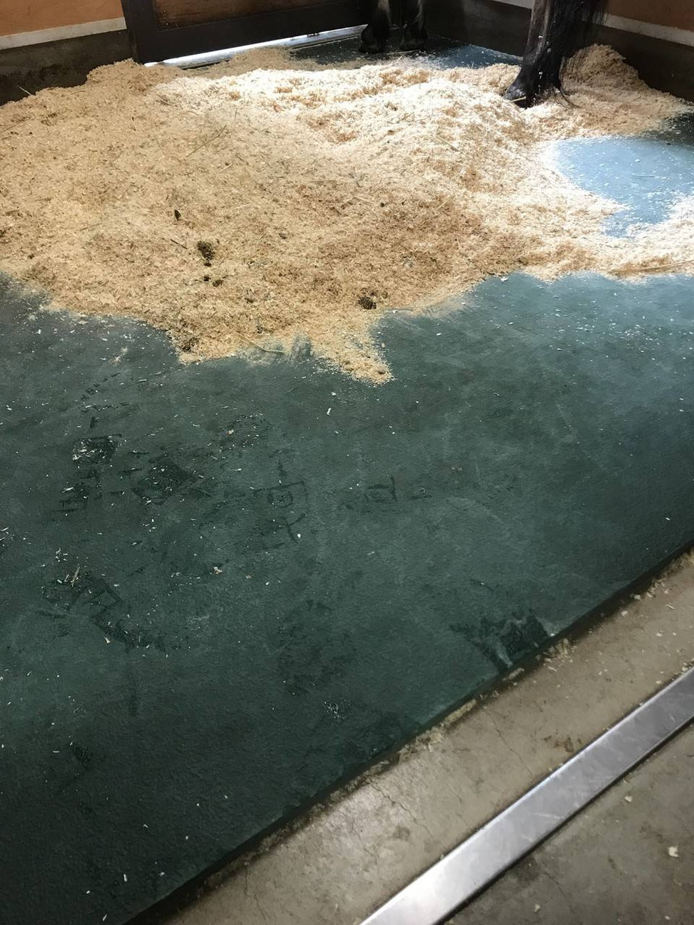 ぱかぱか広場　雨4