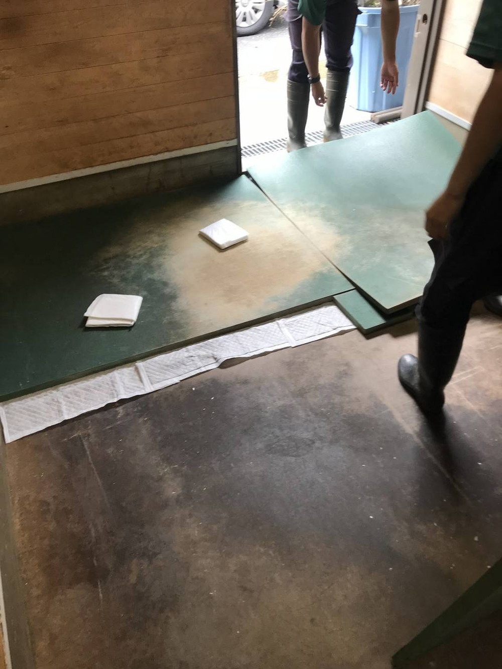 ぱかぱか広場　雨11