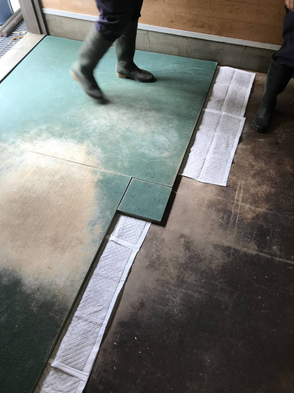 ぱかぱか広場 雨12