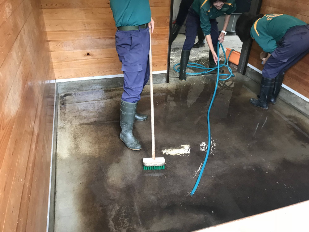 ぱかぱか広場　雨5