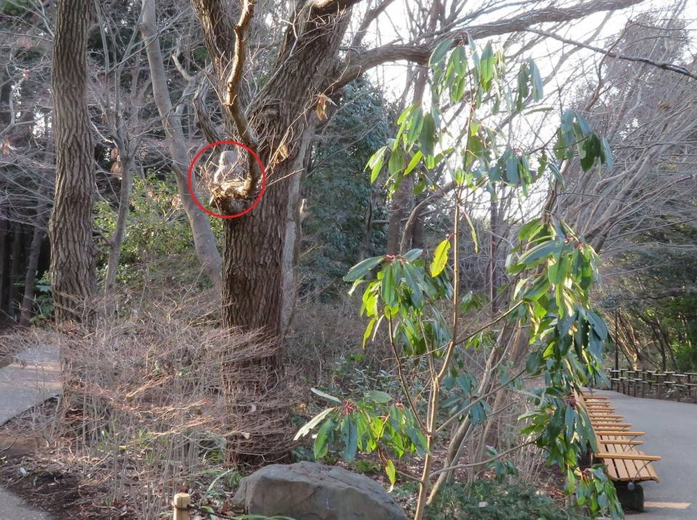 IMG_0682 - コピー.jpg