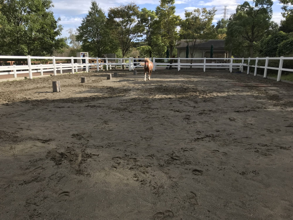 ぱかぱか 脱走8.jpg