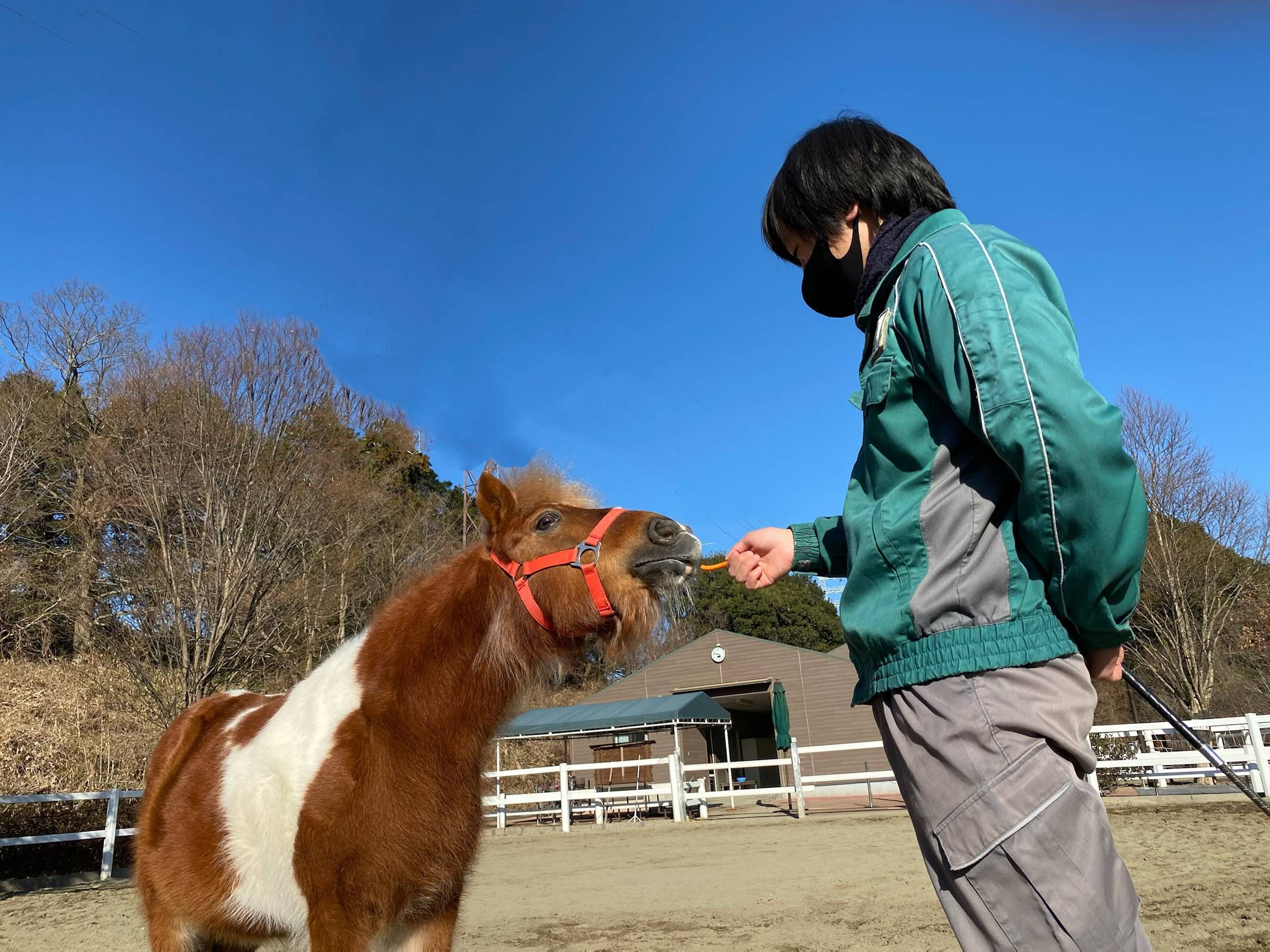 ぱか とっておき4.jpg