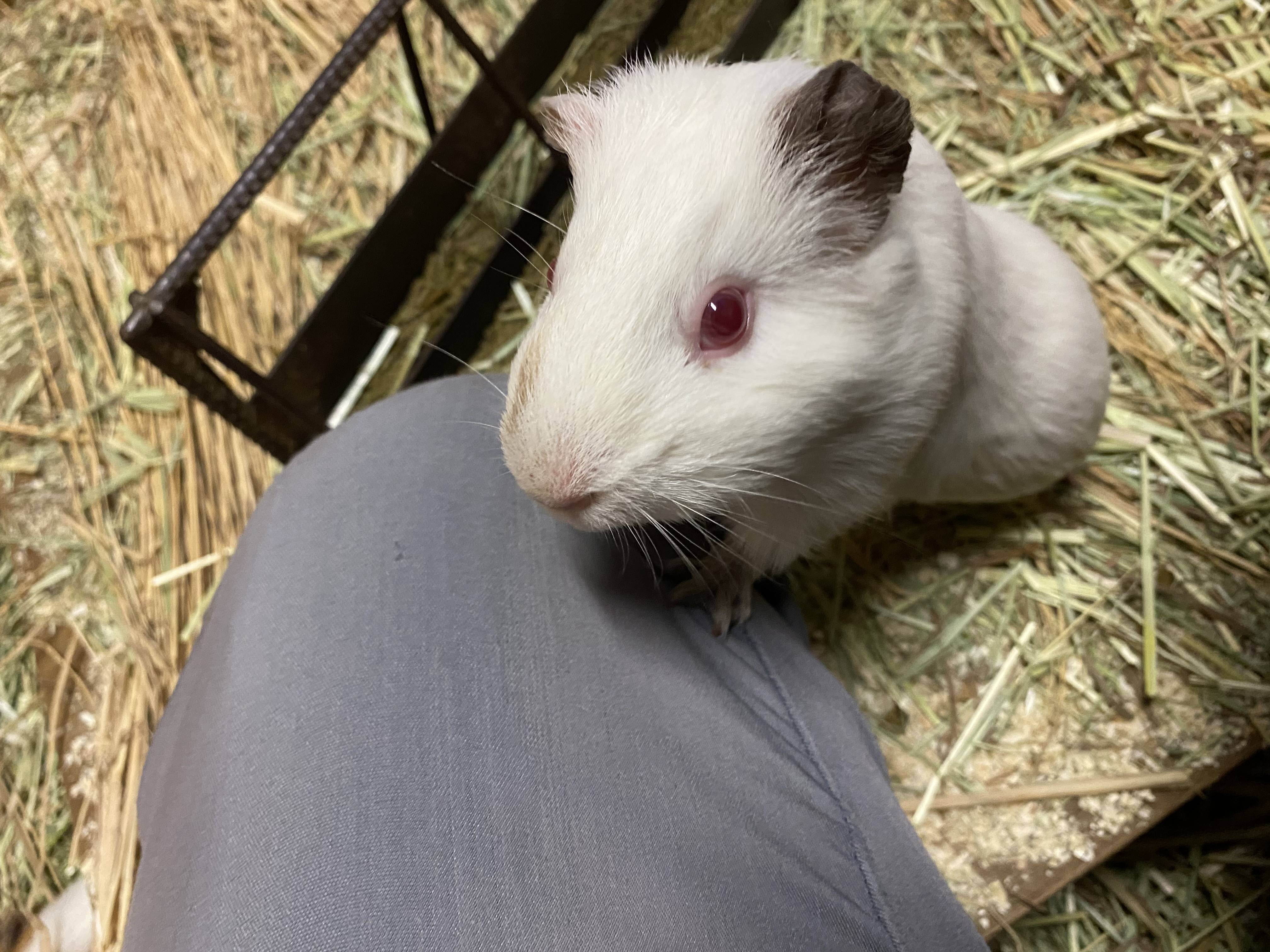 ぱかぱか モル6.jpg