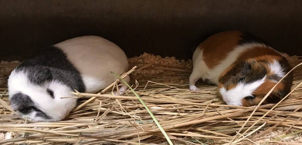 【ぱかぱか】 水のみ⑦.jpg