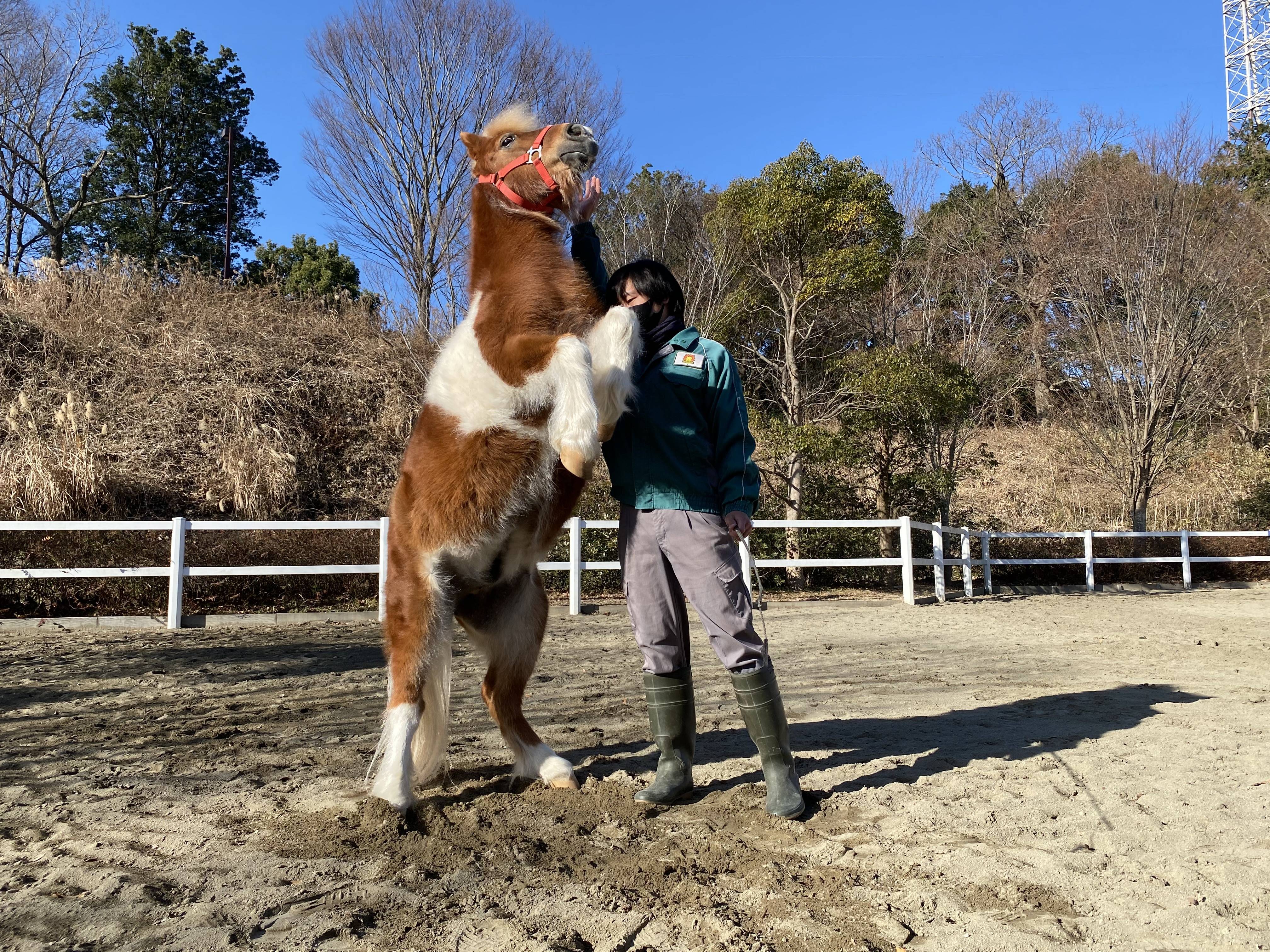 ぱか とっておき5.jpg