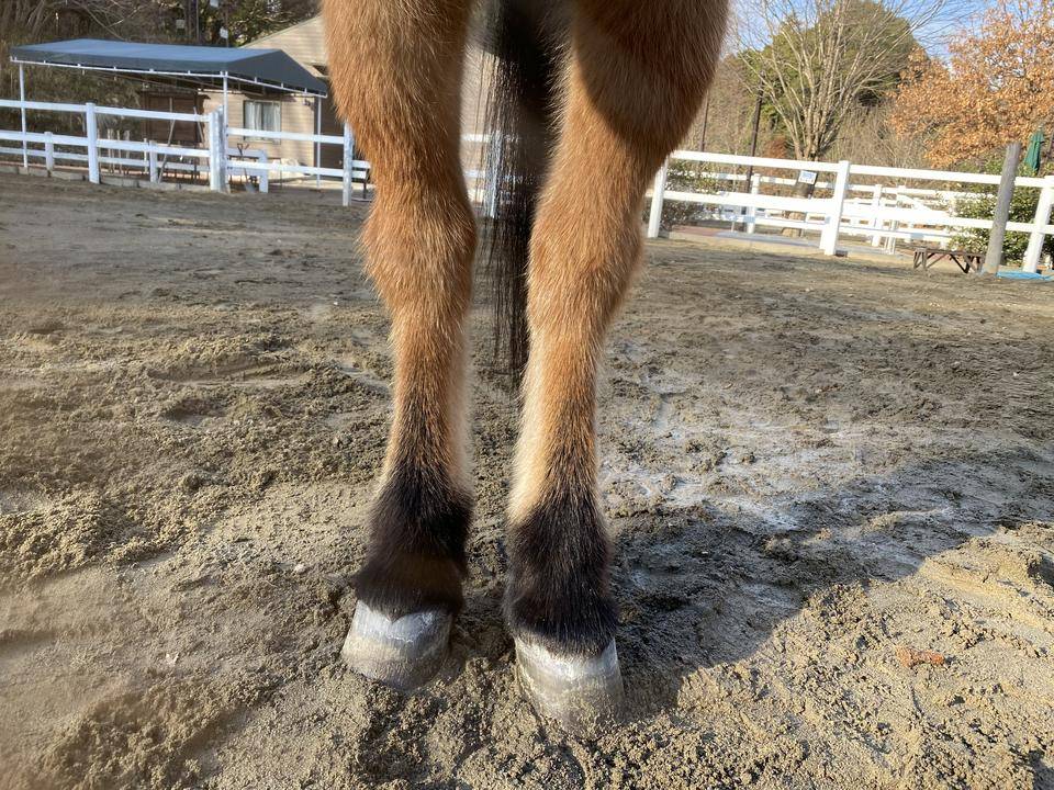 ぱかブログ キーパー7.jpg