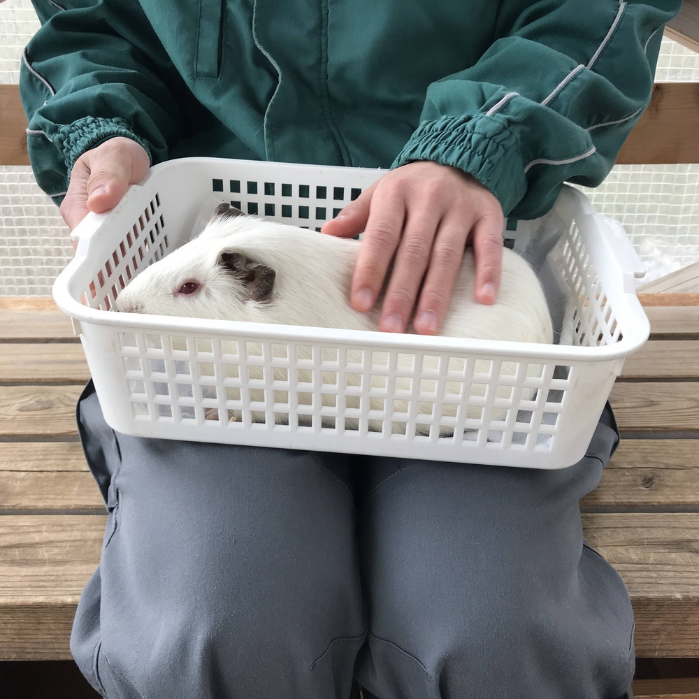 ぱかぱか 仰向け抱っこ⑥.jpg