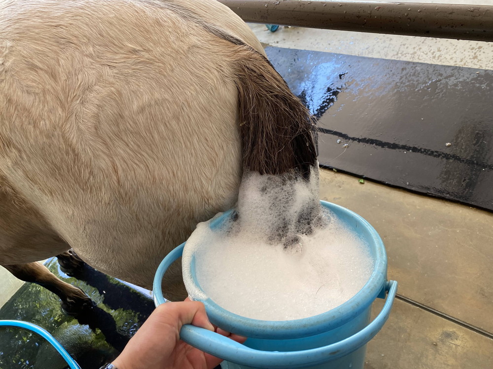 ぱかぱか 手洗い8.jpg