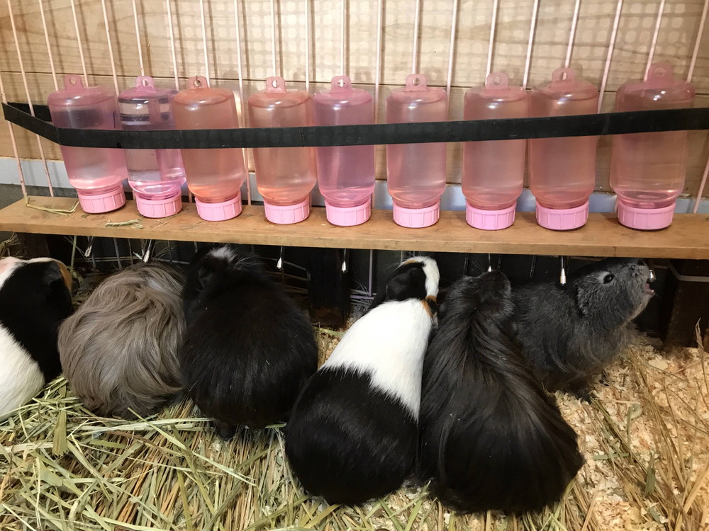 【ぱかぱか】 水のみ⑥.jpg