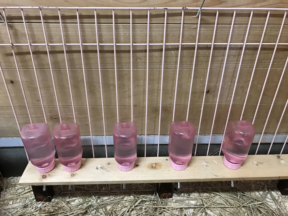 ぱかぱか2018こまめに水分補給を5.jpg