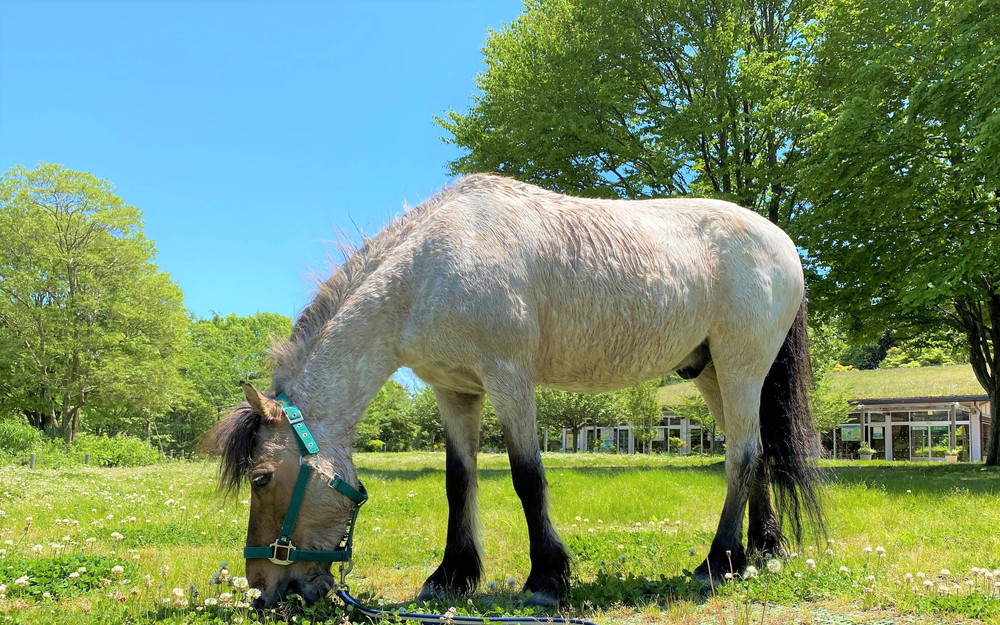 ぱかぱか 手洗い11.jpg