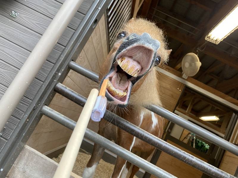 ぱかぱか 怖い話5.jpg