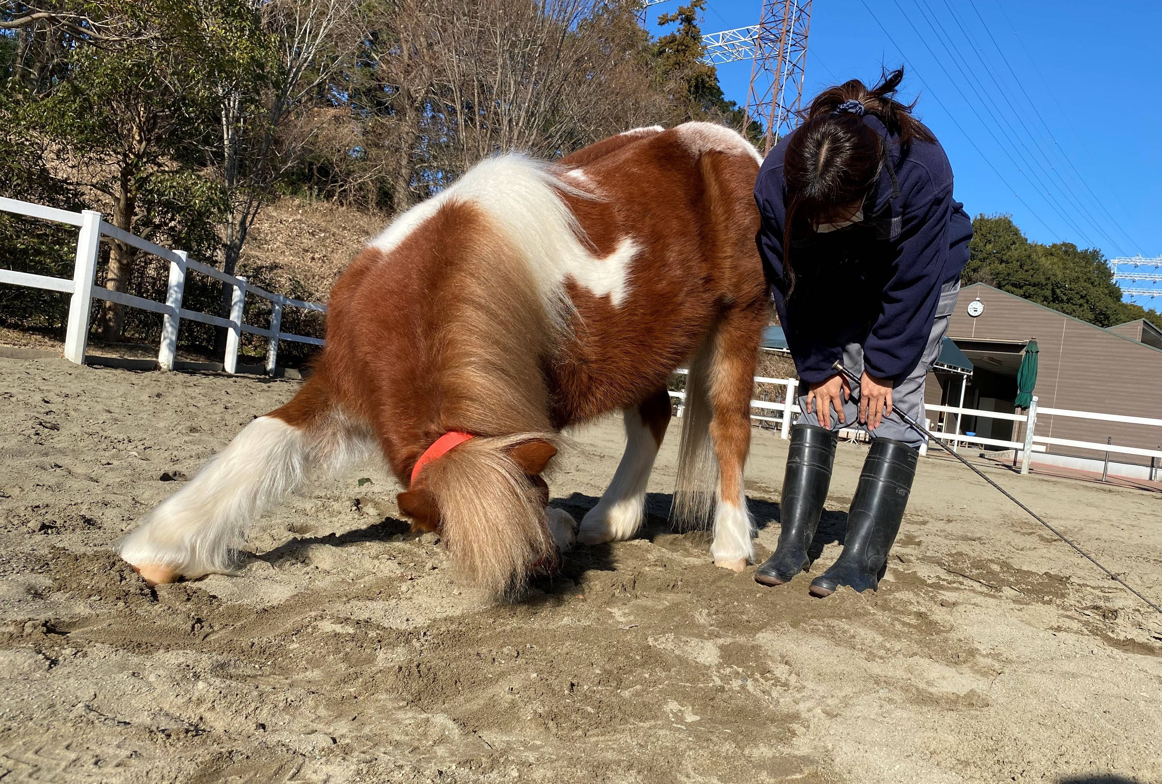 ぱか とっておき1.jpg