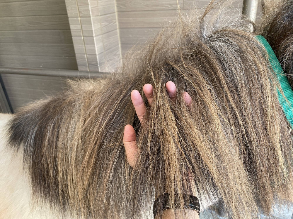 ぱかぱか 手洗い2.jpg