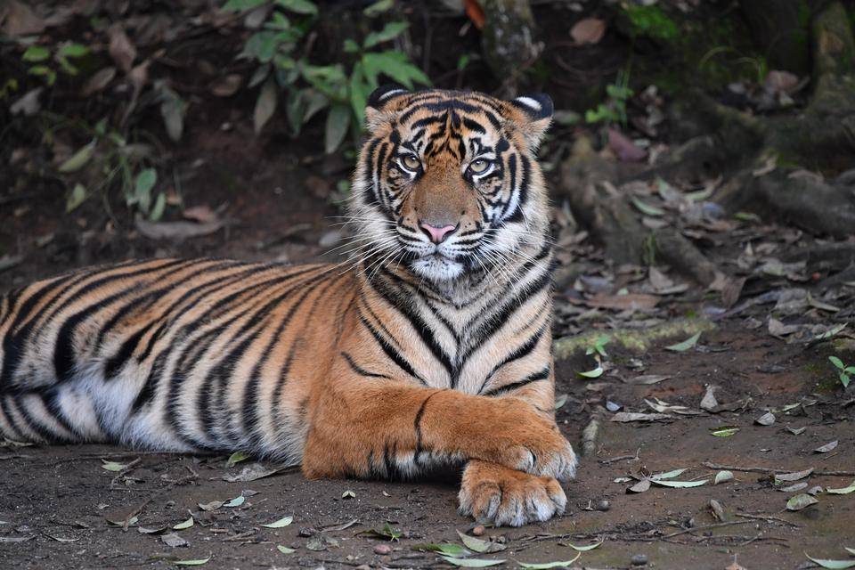 ムジュ 差し替え用 .jpg