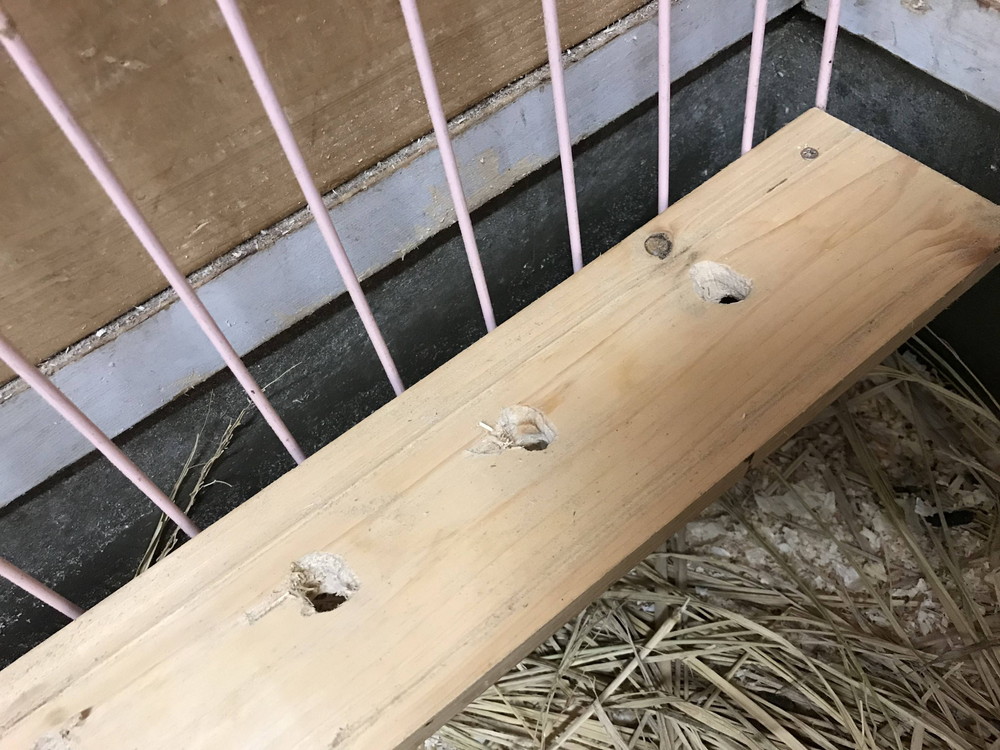 ぱかぱか2018こまめに水分補給を2.jpg
