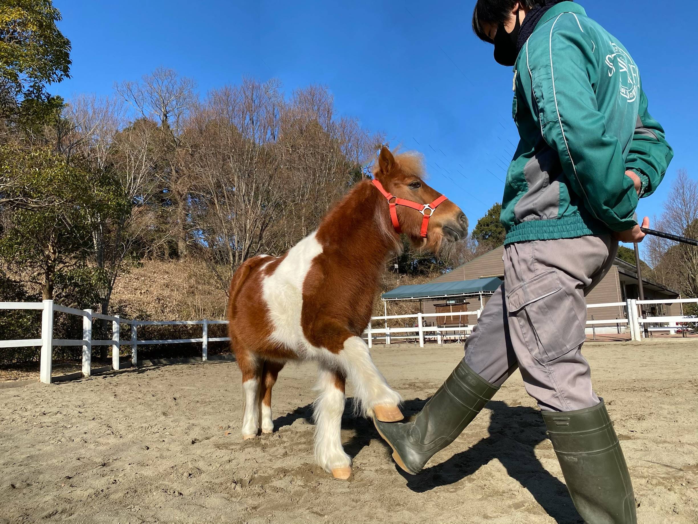 ぱか とっておき2.jpg