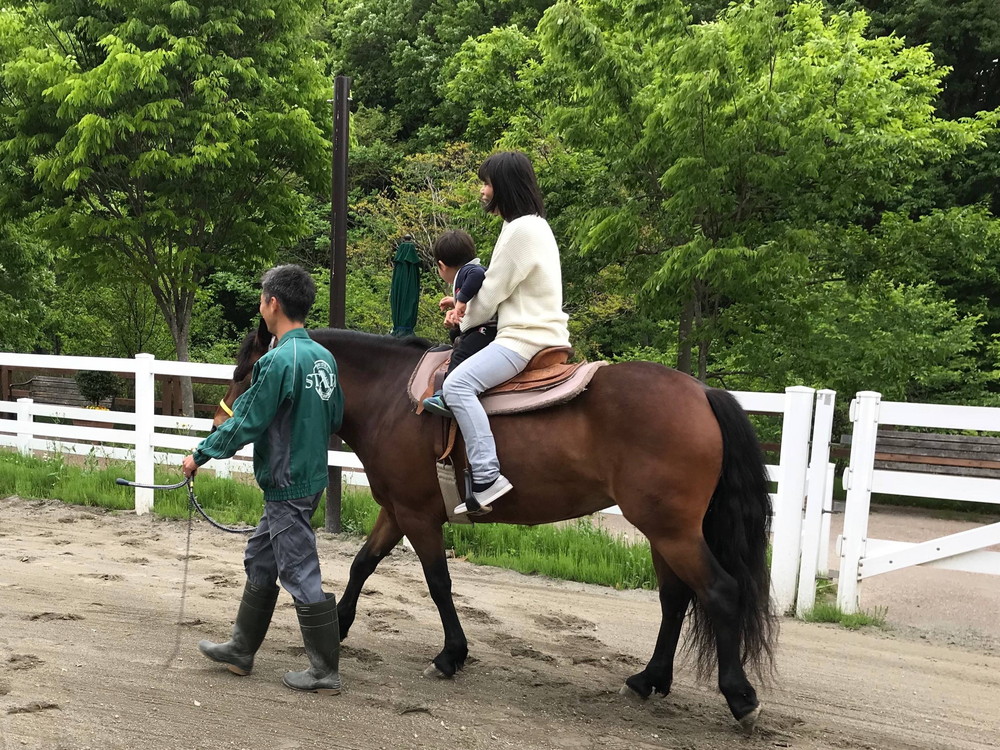 ぱかぱかブログ2018騎乗トレ 二人乗り4.jpg