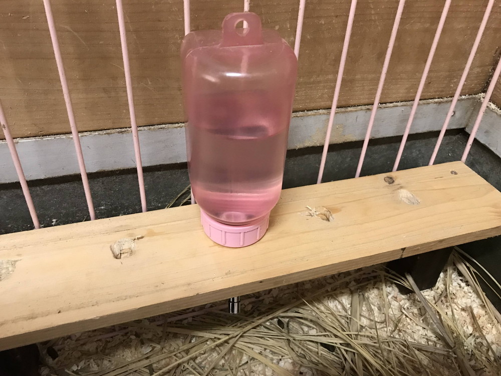 ぱかぱか2018こまめに水分補給を4.jpg