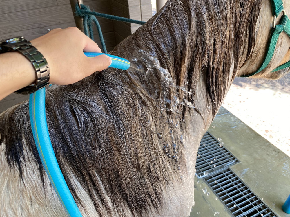 ぱかぱか 手洗い10.jpg